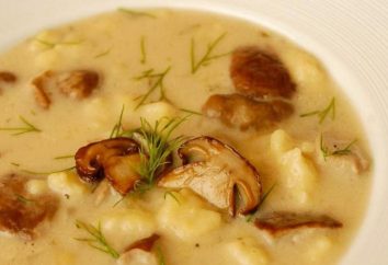 Soupe aux champignons: trois choix de soupe