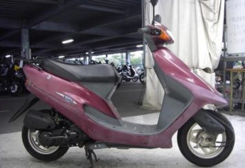 Scooter Honda Tact 30: un aperçu