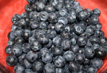 Blueberry Paste: Bewertungen und Anwendungen. Blueberry Paste „Likberi“: Gebrauchsanweisung
