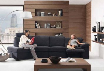 O sofá na sala de estar interior: foto