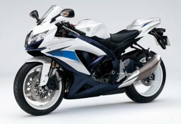 Visão geral características Suzuki GSX-R da motocicleta 600