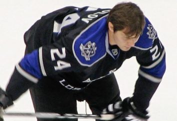 Giocatore di hockey su ghiaccio Alexander Frolov. Frolov Alexander – Biografia