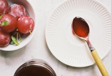 Kochen Marmelade Pflaume: mit Steinen und ohne