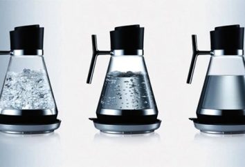 Glaswasserkocher: Vorteile und Merkmale der Vorrichtung