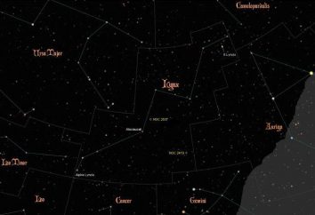 Constelación Lynx: descripción, historia, lugares de interés