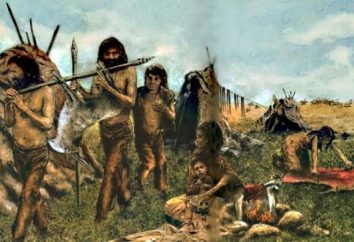 Was ist die Neolithische Revolution: Ursachen und Merkmale