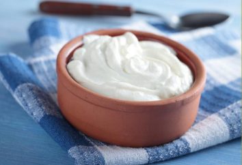 Yogurt termostatico – che cosa è? Come fare un yogurt termostatico? Yogurt termostatico: beneficio, recensioni