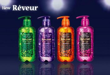 Reveur – une nouvelle génération de shampooing. vue d'ensemble