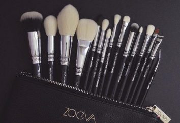 Brushes „Zoeva“ Make-up: Typen, Beschreibung, Merkmale und Bewertungen Kosmetikerinnen