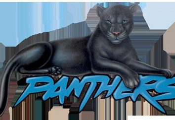 Perché il sogno di una pantera? Interpretazione dei sogni – Black Panther. oneiromancy