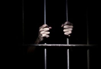 conceitos de prisão e leis: Dicas experientes