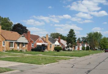 Inspección de las áreas suburbanas: para lo que necesita