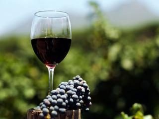 Abkhazia leggendario vino