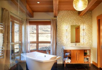 Salle de bains dans une maison en bois: la conception et de l'équipement. Imperméabilisation des salles de bains dans une maison en bois et la finition