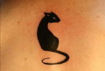 Un misterioso tatuaggio di "gatto": il valore