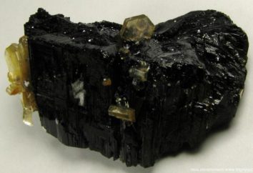 Mineral Turmalin: die Exposition des Menschen, Fotos, Funktionen und Preis. Und Schmuck aus Turmalin