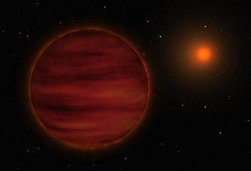 Brązowe karły – gwiazdy w Układzie Słonecznym: temperatura, zdjęciami, widmowe klasy
