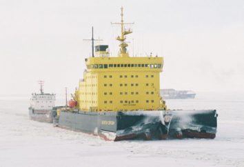 Icebreaker "Kapitan Sorokin." rompighiaccio moderni