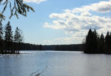 lac Long, Leningrad: description, loisirs, pêche