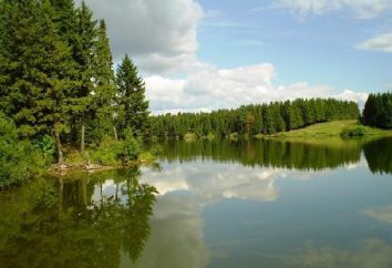 Mirror Lake. Ein weiteres Wunder der Natur
