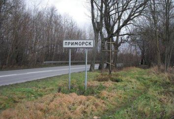 Lernen Geographie: wo ist die Stadt Primorsk?