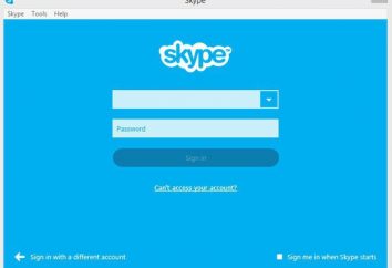 Wie ein „Skype“ machen? detaillierte Analyse