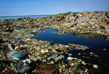 Die sauberste Meer der Welt: Mythen und Fakten