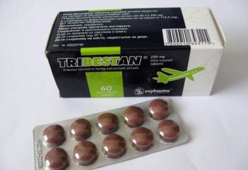 "TRIBESTAN": contrapartes mais baratos e mais eficientes. Opiniões sobre análogos "Tribestan"