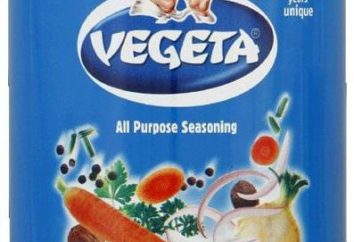 La magie du goût et de la façon d'y parvenir – épices « Vegeta »