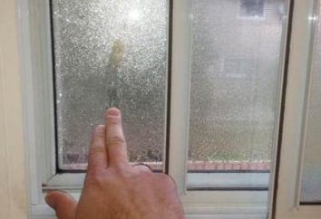 La condensation sur les fenêtres en plastique. Les causes de