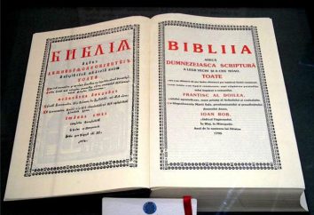 Die Bibel – die Bibel ist … Übersetzungen