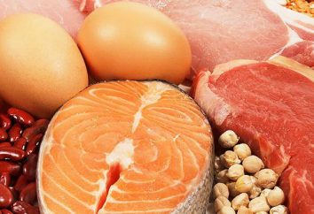 Proteine dieta – efficace, per 2 settimane, senza sensazione di fame!