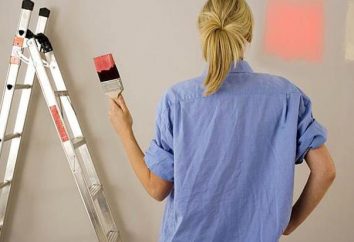 Como pintar as paredes no apartamento elegante, rápido, de alta qualidade