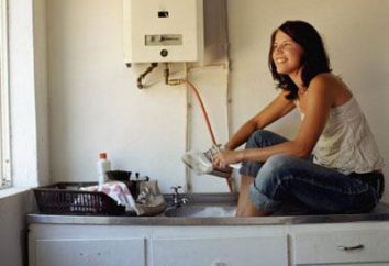 Elija-calentador de agua para el apartamento