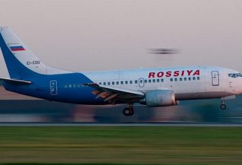 Quali compagnie aeree volano in Egitto da Mosca, il tempo di volo, recensioni viaggiatori