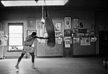 Training der Boxer. Krafttraining Boxer