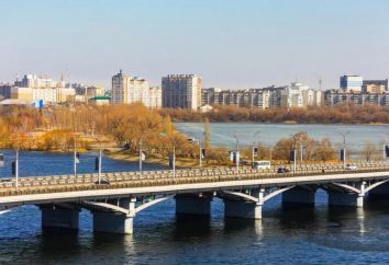 I luoghi più interessanti a Voronezh: attrazioni, descrizione e storia