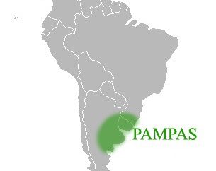 O que é os pampas da América do Sul?