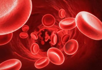 Skuteczne tabletki na podniesienie hemoglobiny