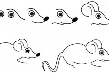 Jak narysować myszy, dwa master-class