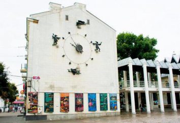 Teatro dei Burattini "Jester": foto e recensioni