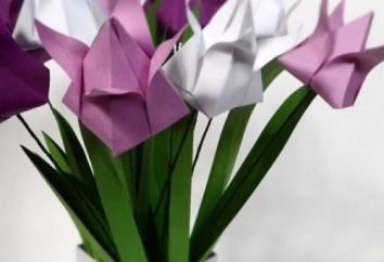 Überraschung für alle Frauen und Mädchen, oder wie man Papier Tulpen machen aus