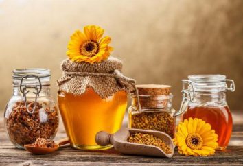 Was macht Honig und wie es zu erhalten