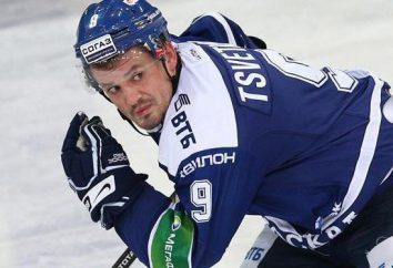 Alexei Tsvetkov: carriera hockey e premi