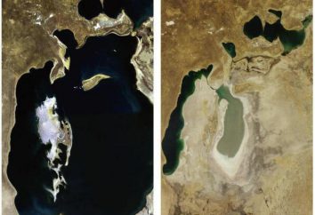 ¿Por qué el mar de Aral se seca: Causas