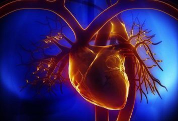 Crise cardiaque: ce qu'elle est, les causes, les premiers signes, le diagnostic et le traitement. types de crises cardiaques