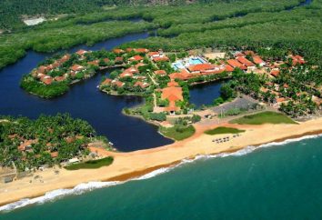 Club Palm Bay 4 * (Sri Lanka, Marawila): description de l'hôtel, les services, les commentaires