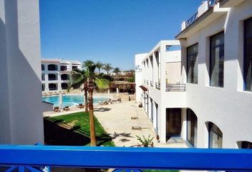 Hotel New La Perla Hotel 3 *, Sharm El Sheikh, Egito: fotos e comentários