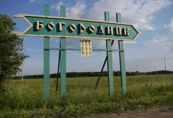 Miasto Bogoroditsk, region Tuula