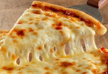 Pizza di formaggio: ricette di cucina